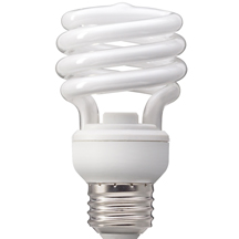 Compact Fluorescent Light